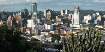 Zimbabwe Vs Namibia, 3rd T20I: Jan Frylinck Scores 3rd Fastest Fifty As NAM Beat ZIM By 28 Runs – Outlook India