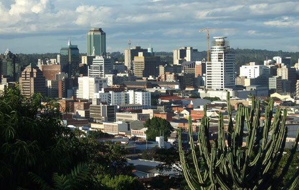 Zimbabwe Vs Namibia, 3rd T20I: Jan Frylinck Scores 3rd Fastest Fifty As NAM Beat ZIM By 28 Runs – Outlook India