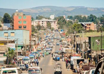 My Virtual Service experience with Ethiopia – Peace Corps (.gov)