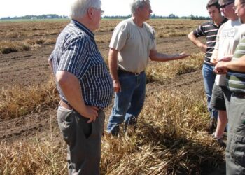 White and Black farmers still bear the scars of Zimbabwe’s land grabs – Al Jazeera