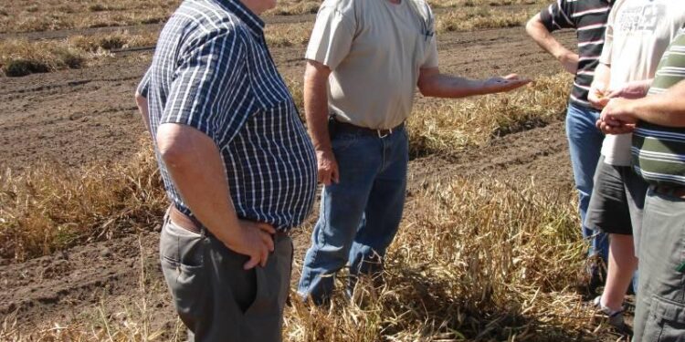 White and Black farmers still bear the scars of Zimbabwe’s land grabs – Al Jazeera