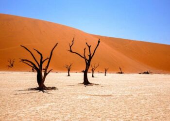 Namibia bids to join Nuclear Suppliers Group as world’s third-largest uranium producer – Business Insider Africa