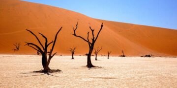 Namibia bids to join Nuclear Suppliers Group as world’s third-largest uranium producer – Business Insider Africa