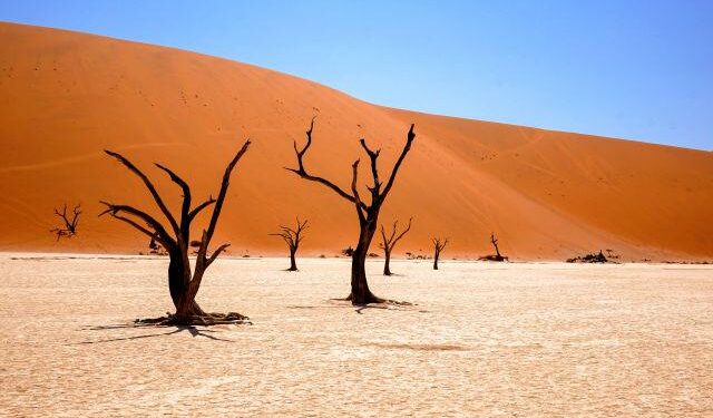 Namibia bids to join Nuclear Suppliers Group as world’s third-largest uranium producer – Business Insider Africa