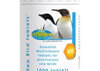 Seychelles study shows seabird nutrients boost marine ecosystems around rat-free islands – Lancaster University