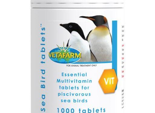 Seychelles study shows seabird nutrients boost marine ecosystems around rat-free islands – Lancaster University