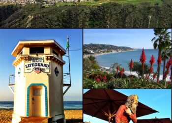 ‘Laguna Beach’ Cast Reunion Set at Roku – The Hollywood Reporter