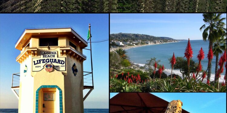 ‘Laguna Beach’ Cast Reunion Set at Roku – The Hollywood Reporter