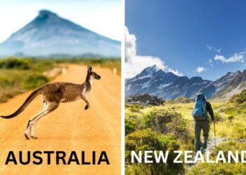 Australia vs New Zealand LIVE Score, ICC Women’s World Cup 2025: Australia Win Toss, Opt To Bat Against Rivals NZ – NDTV Sports