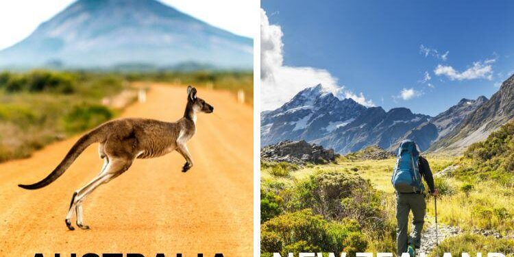 Australia vs New Zealand LIVE Score, ICC Women’s World Cup 2025: Australia Win Toss, Opt To Bat Against Rivals NZ – NDTV Sports