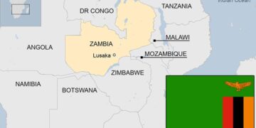 Zambia’s debt restructuring remains snagged on Afreximbank problems – Reuters