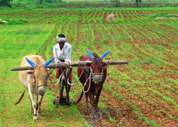 Farmers from Wales and Uganda Discuss Common Challenges – Business News Wales