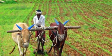 Farmers from Wales and Uganda Discuss Common Challenges – Business News Wales