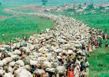 Rwanda genocide of 1994 – Aftermath, Reconciliation, Survivors – Britannica