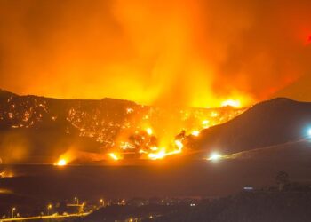 Wildfires burn over 30 pct of Etosha National Park in Namibia – Xinhua