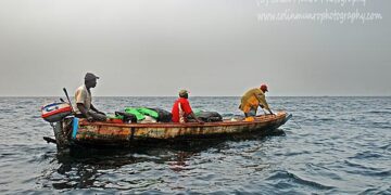 Senegal’s fishermen blame BP gas plant for dwindling catch off Saint-Louis – BBC