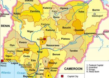 Lessons from Nigeria and Kenya on Digital Colonialism in AI Health Messaging – Tech Policy Press