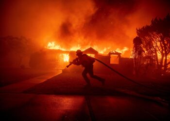 Wildfires rage across Bulgaria, destroying forests and homes – Reuters