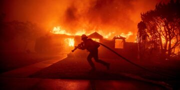 Wildfires rage across Bulgaria, destroying forests and homes – Reuters