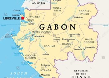 Import-reliant Gabon gets taste for local beef – Kuwait Times