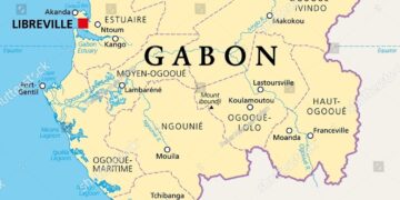 Import-reliant Gabon gets taste for local beef – Kuwait Times