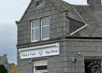 Storm Amy triggers nationwide Code Yellow in Netherlands – NL Times