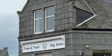 Storm Amy triggers nationwide Code Yellow in Netherlands – NL Times