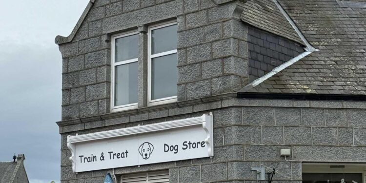 Storm Amy triggers nationwide Code Yellow in Netherlands – NL Times