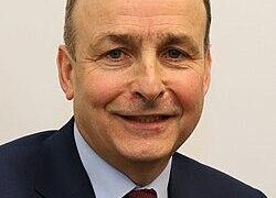 Fianna Fáil’s Jim Gavin withdraws from Irish presidential race – The Guardian