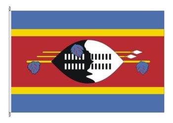 Eswatini receives ten third-country deportees from US – CNBC Africa