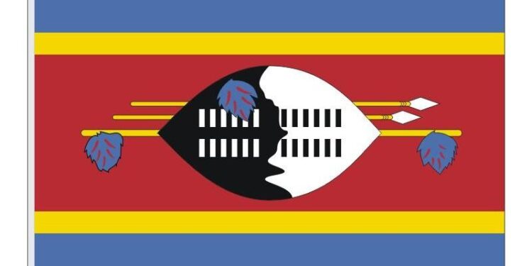 Eswatini receives ten third-country deportees from US – CNBC Africa