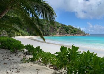 2024 Country Reports on Human Rights Practices: Seychelles – U.S. Department of State (.gov)