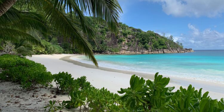 2024 Country Reports on Human Rights Practices: Seychelles – U.S. Department of State (.gov)