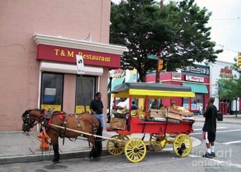 Photo story: An arabber reunion – Baltimore Beat