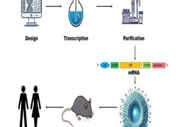 Mali pioneers novel hybrid vaccine delivery approach to combat malaria – WHO | Regional Office for Africa
