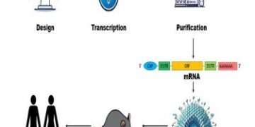 Mali pioneers novel hybrid vaccine delivery approach to combat malaria – WHO | Regional Office for Africa