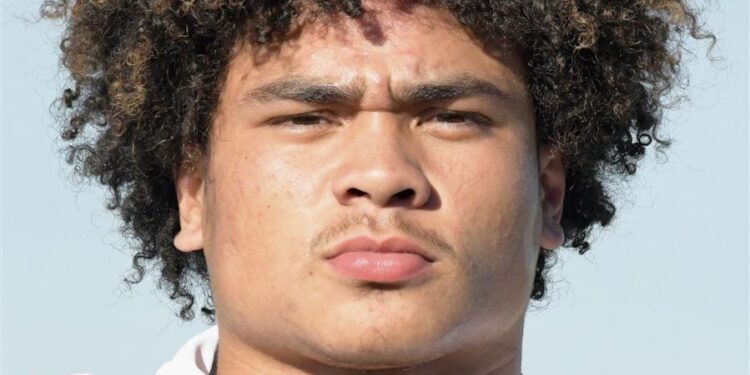 Journee Tonga helps lift Leuzinger to victory over Palos Verdes at SoFi Stadium – Los Angeles Times