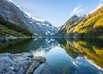 New Zealand pauses Cook Islands aid over China deals – DW