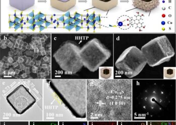 Fatuamide A, a Hybrid PKS/NRPS Metallophore from a Leptolyngbya sp. Marine Cyanobacterium Collected in American Samoa – ACS Publications