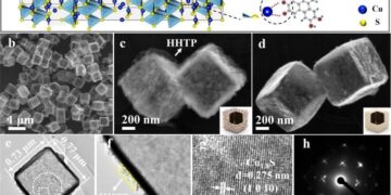 Fatuamide A, a Hybrid PKS/NRPS Metallophore from a Leptolyngbya sp. Marine Cyanobacterium Collected in American Samoa – ACS Publications
