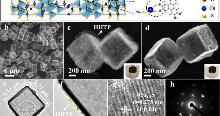 Fatuamide A, a Hybrid PKS/NRPS Metallophore from a Leptolyngbya sp. Marine Cyanobacterium Collected in American Samoa – ACS Publications