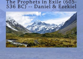 Prophets in exile: Why some of Ireland’s brightest coaches are coaching outside of Ireland – The Currency