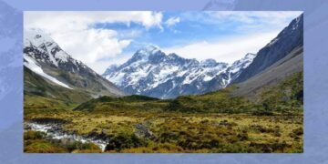 Prophets in exile: Why some of Ireland’s brightest coaches are coaching outside of Ireland – The Currency