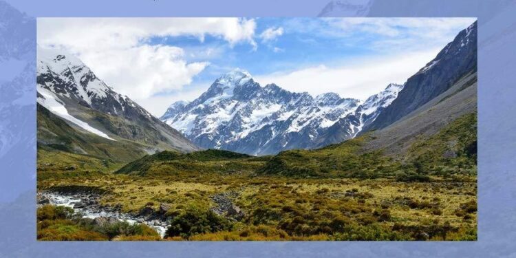 Prophets in exile: Why some of Ireland’s brightest coaches are coaching outside of Ireland – The Currency