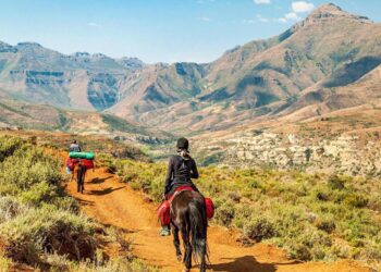 How to watch Lesotho v Zimbabwe: Live stream, kick-off time and head-to-head stats – Bet365