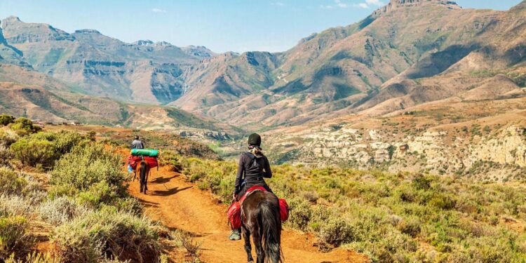 How to watch Lesotho v Zimbabwe: Live stream, kick-off time and head-to-head stats – Bet365