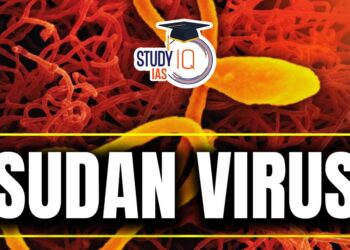 Sudan virus disease – Uganda – World Health Organization (WHO)