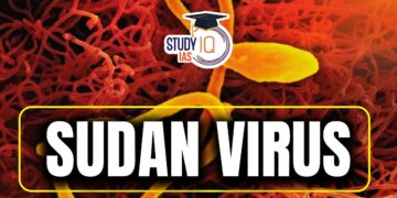 Sudan virus disease – Uganda – World Health Organization (WHO)