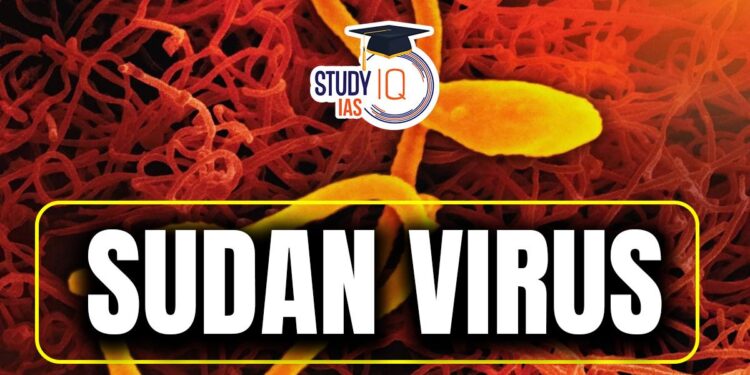 Sudan virus disease – Uganda – World Health Organization (WHO)