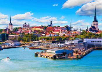 Estonia forces crypto investor to donate €1,638 to Ukraine after €54 donation to Russian arm – Euromaidan Press